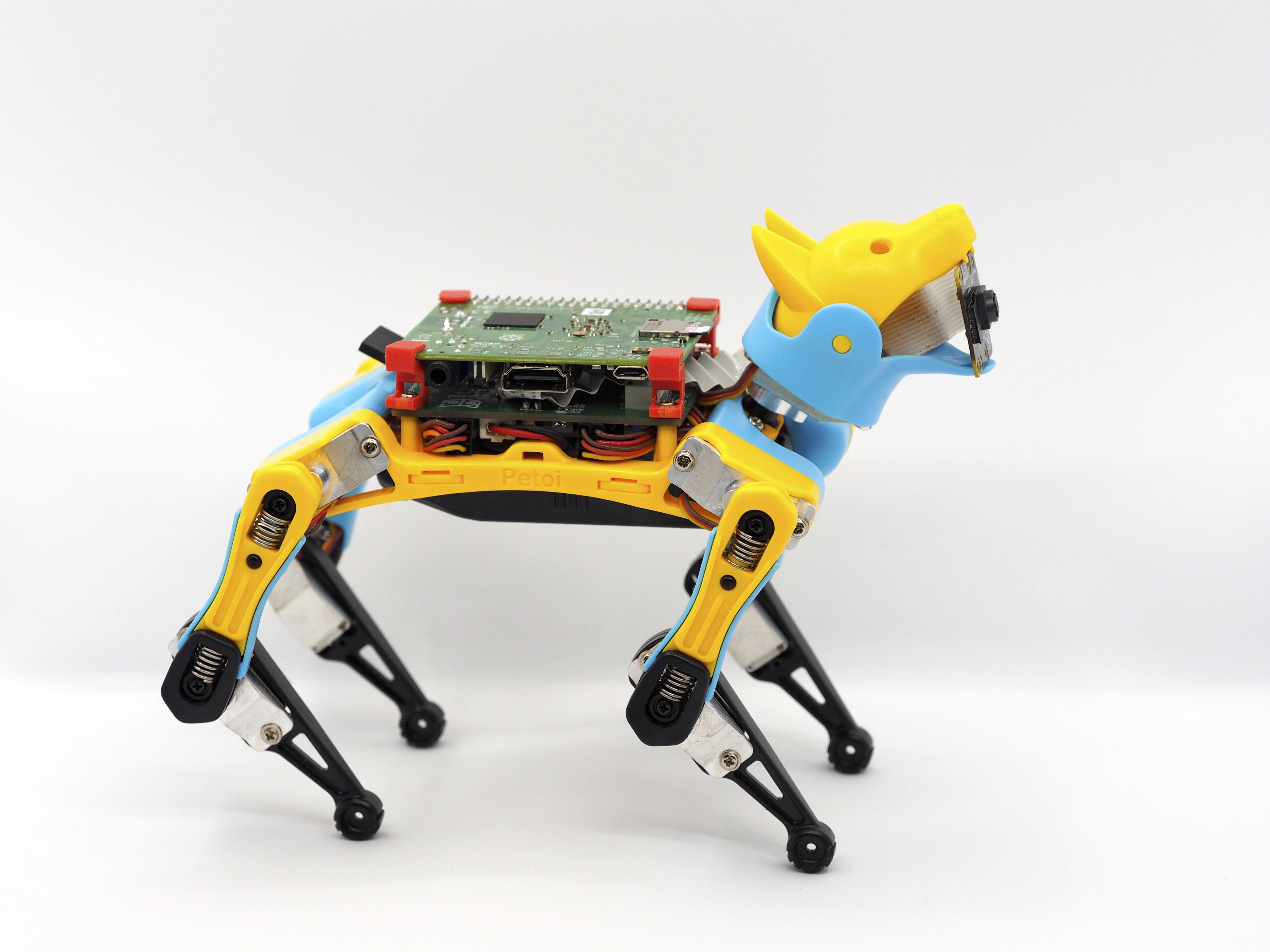 bittle robot dog