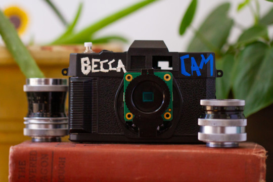 Becca Cam Raspberry Pi SLR camera