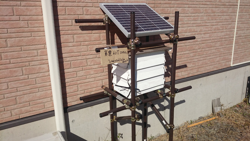 Step 1. The grapes are monitored from the office using the Hinno IoT system to see what the atmospheric conditions are in the fields.