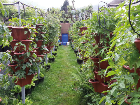 Hydroponic gardening with a Raspberry Pi