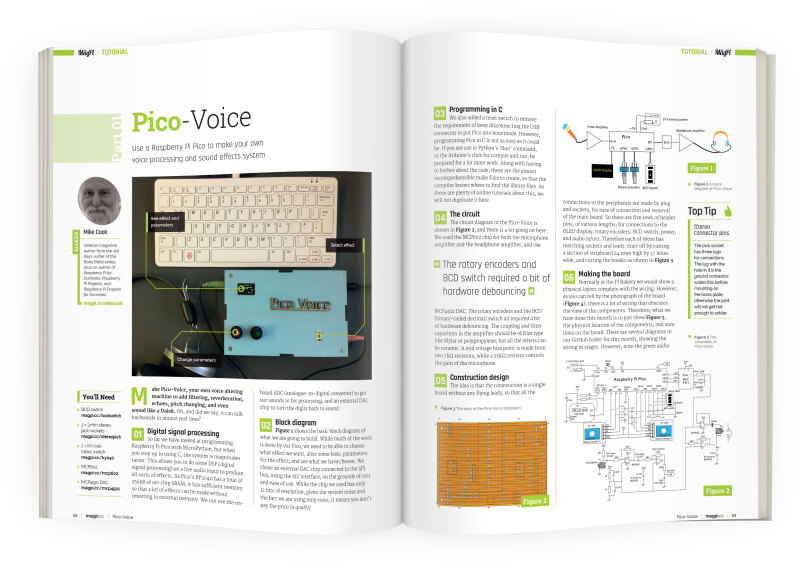 Pico Voice