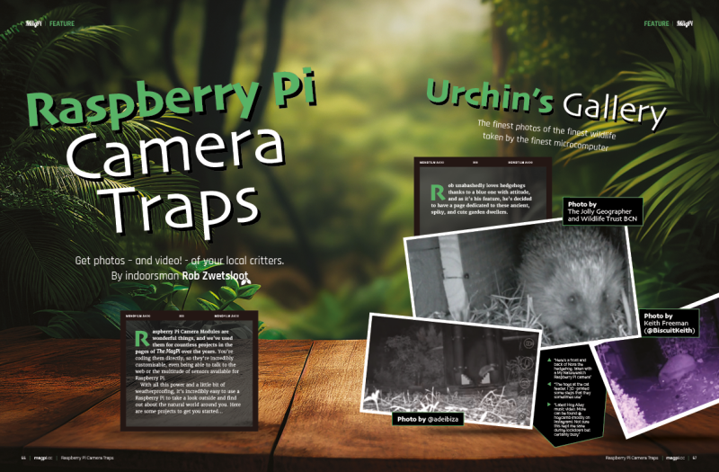 Capture the animals in your garden with Raspberry Pi and Camera Module