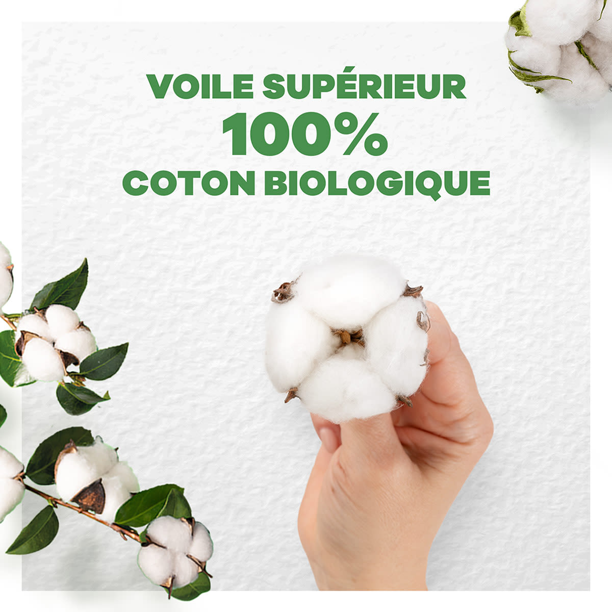 Serviettes hygiéniques en coton bio