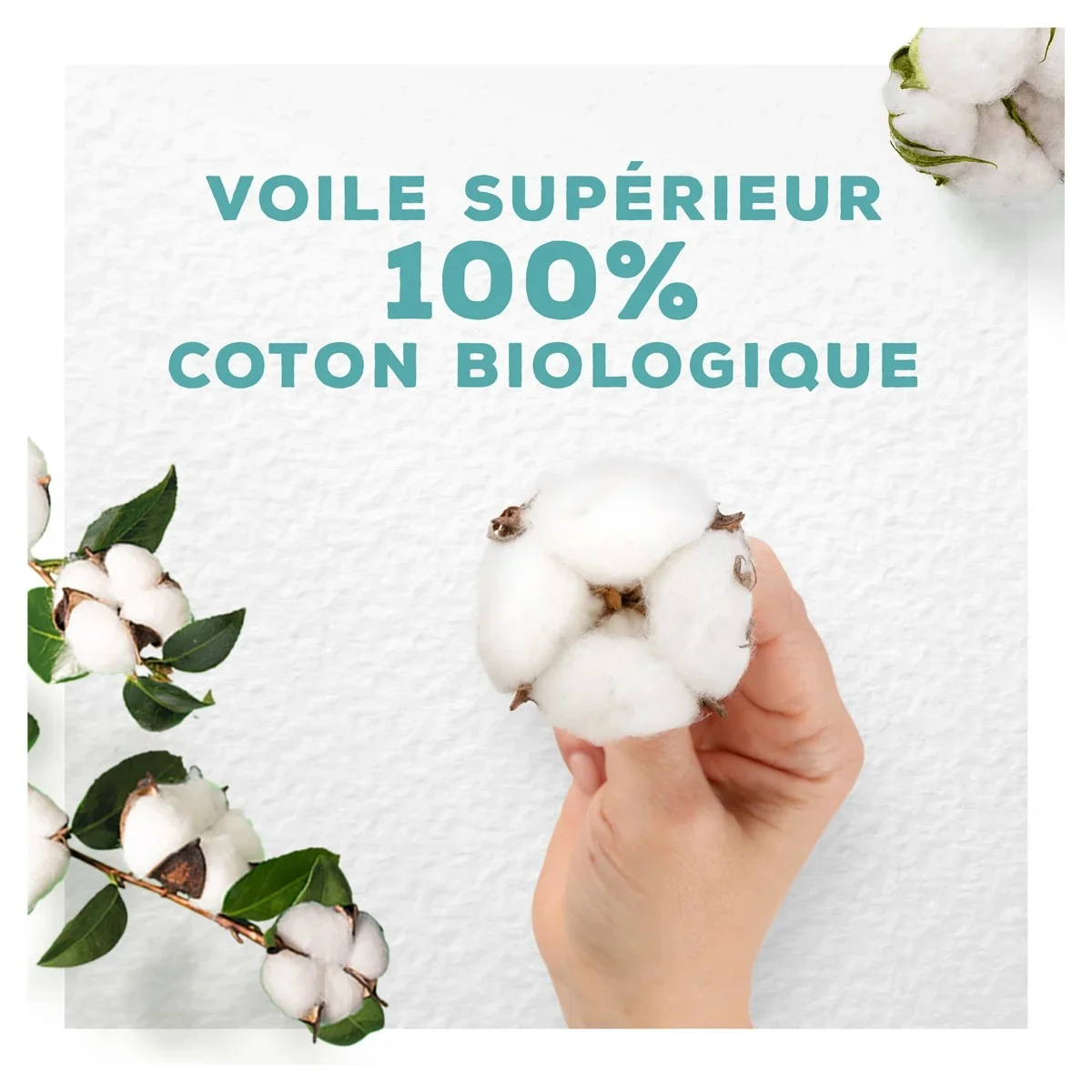 En dessous le text "voile supérieur 100% coton bio", se trouve un visuel d'une main tenant du cotton