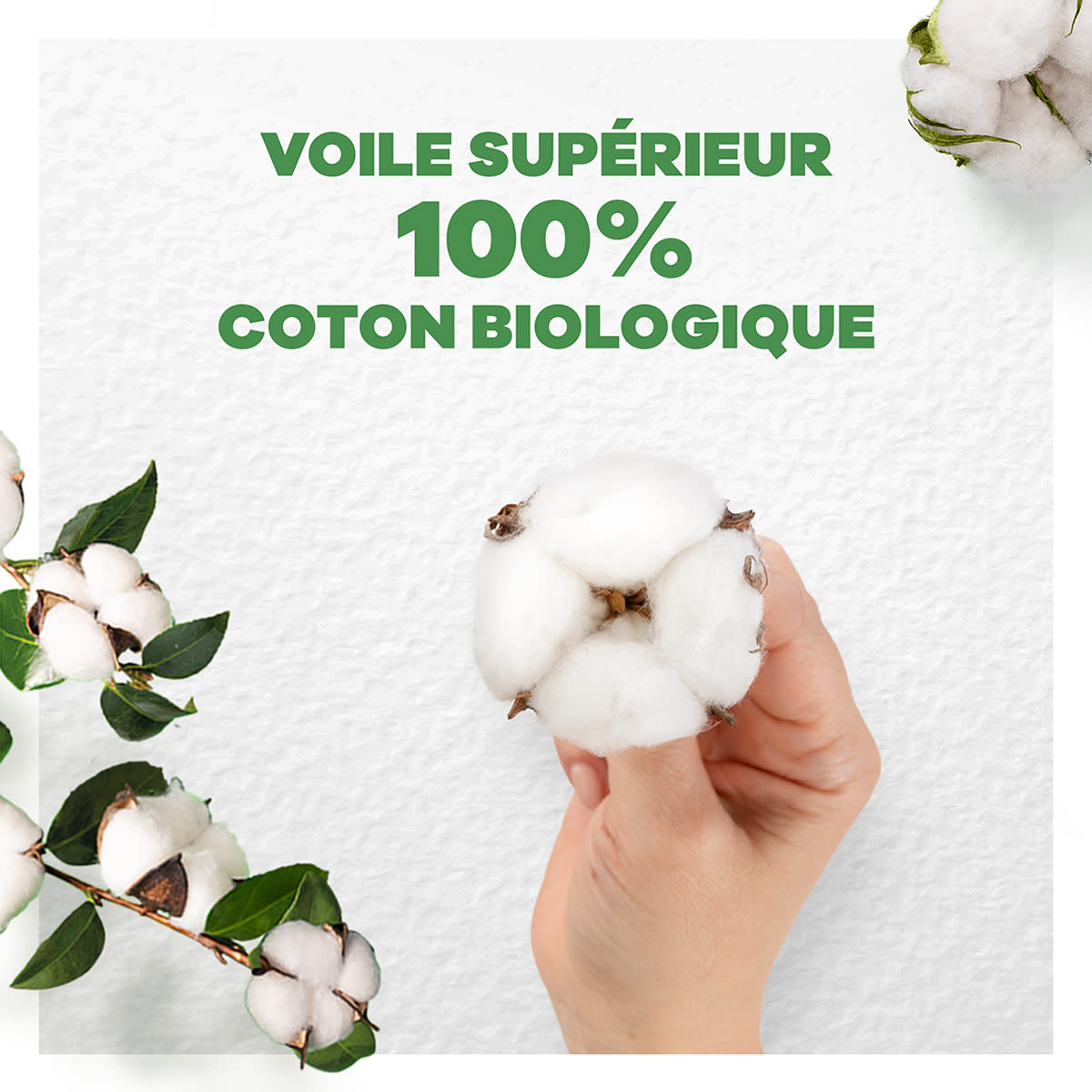 Always Cotton Protection serviettes protection fiable avec un voile supérieur 100% coton biologique