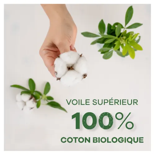 Les protège-slips ALWAYS Daily Cotton Protection avec un voile 100% coton biologique
