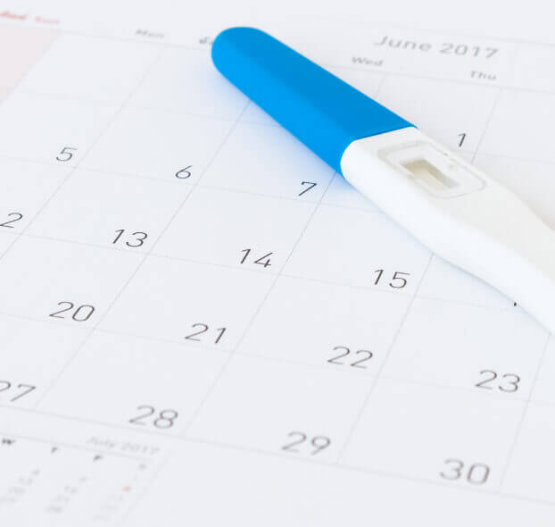 Fechas fertiles para la mujer desktop interna