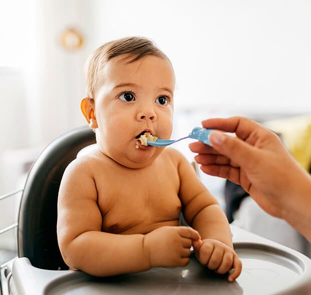 Comidas-para-bebes-de-6-meses-desktop