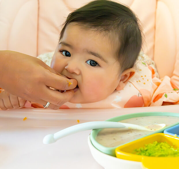 Comidas-para-bebes-de-6-meses-desktop