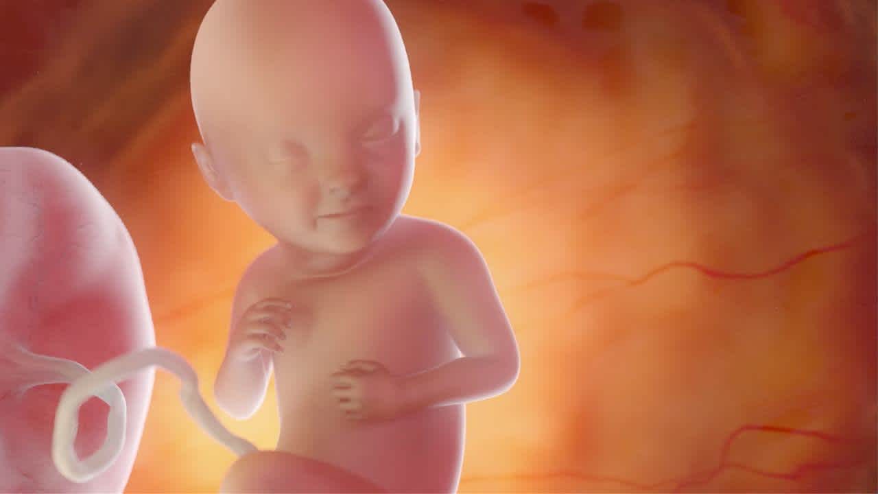 Semana 33 de embarazo