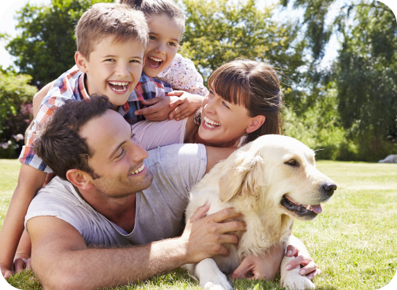 Términos y condiciones para papá y mamá