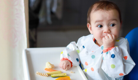 Que es la alimentacion blw previsualización
