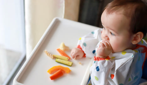 Que es la alimentacion blw previsualización