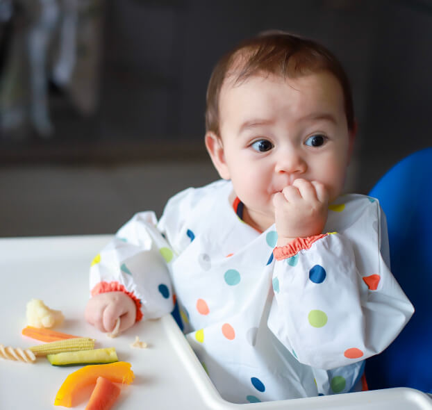Que es la alimentación BLW interna