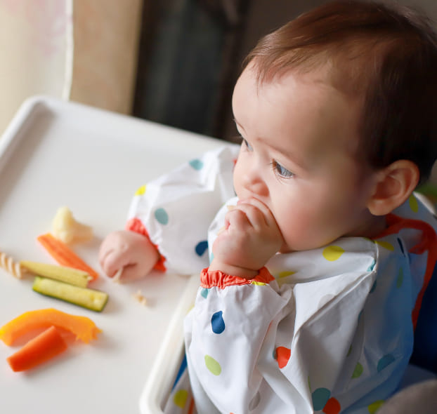 Que es la alimentación BLW interna