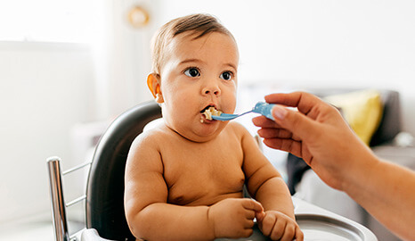 Comidas-para-bebes-de-6-meses-previsualizacion