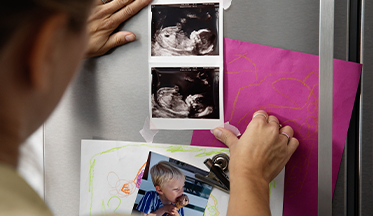 Alimentación en el primer trimestre prev