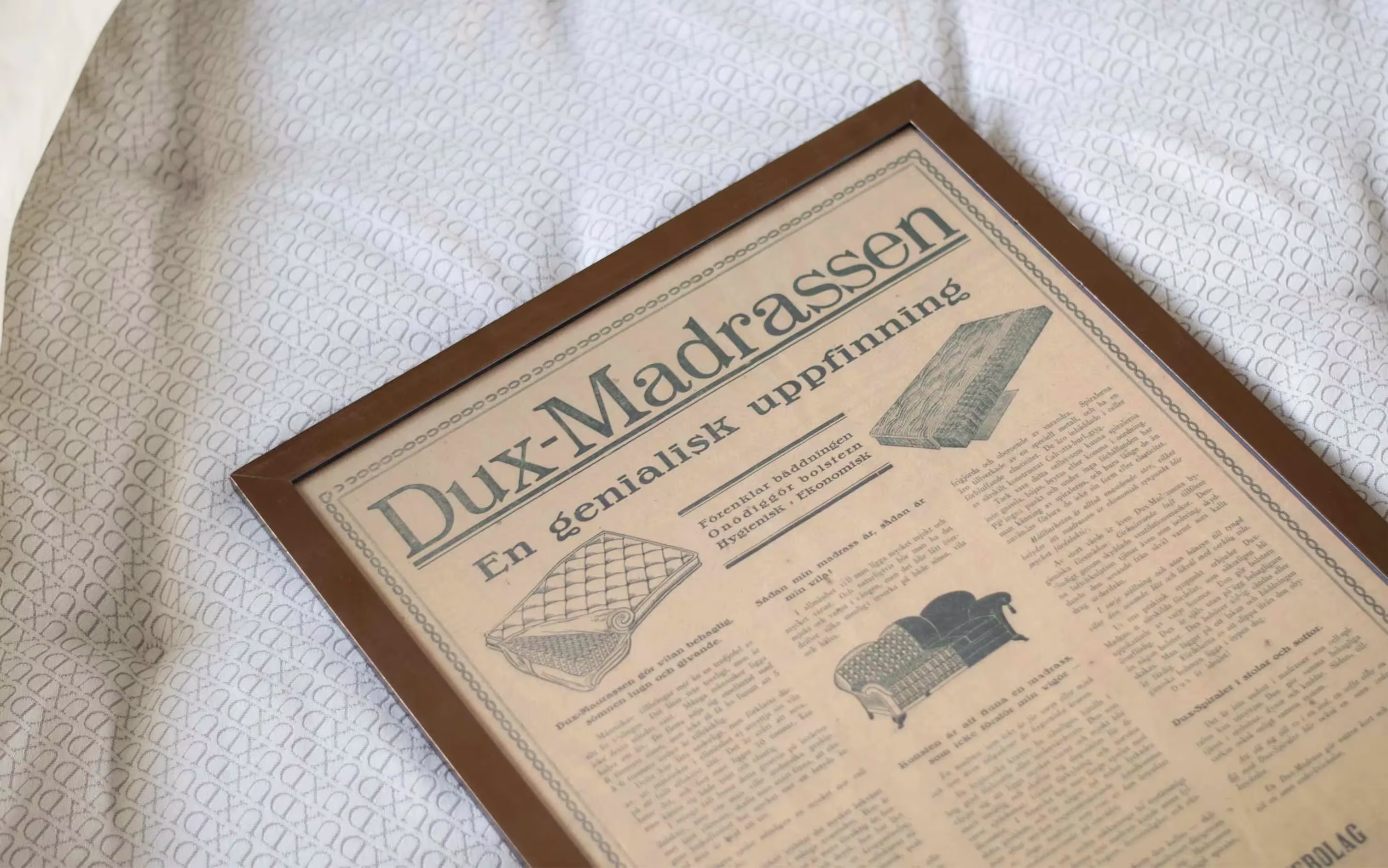 DUX-1