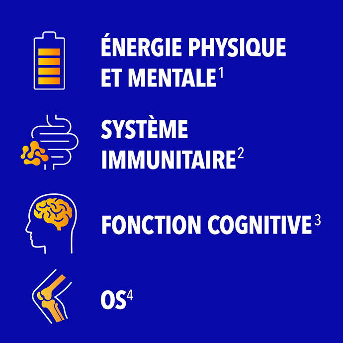 ÉNERGIE PHYSIQUE ET MENTALE, SYSTÈME IMMUNITAIRE, FONCTION COGNITIVE, OS