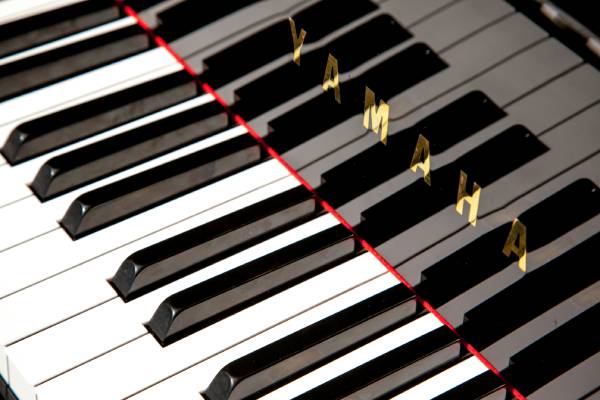 Keyboard & Piano/Vocal/Guitar