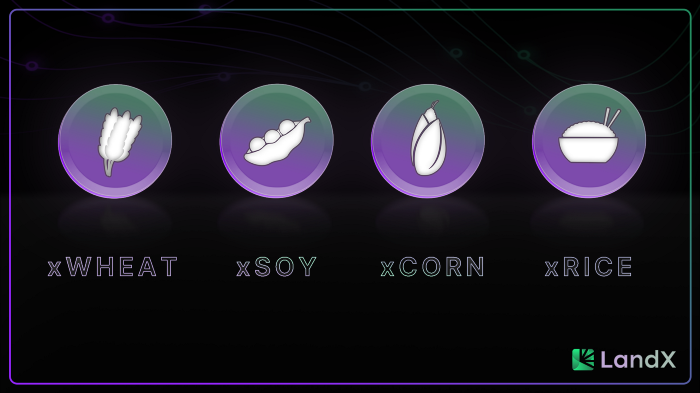 LandX's xTokens