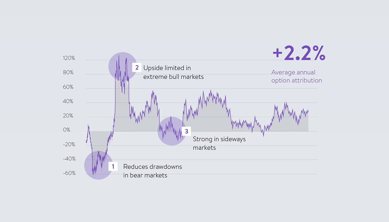 Average annual option attribution - Image Block - graph4 2