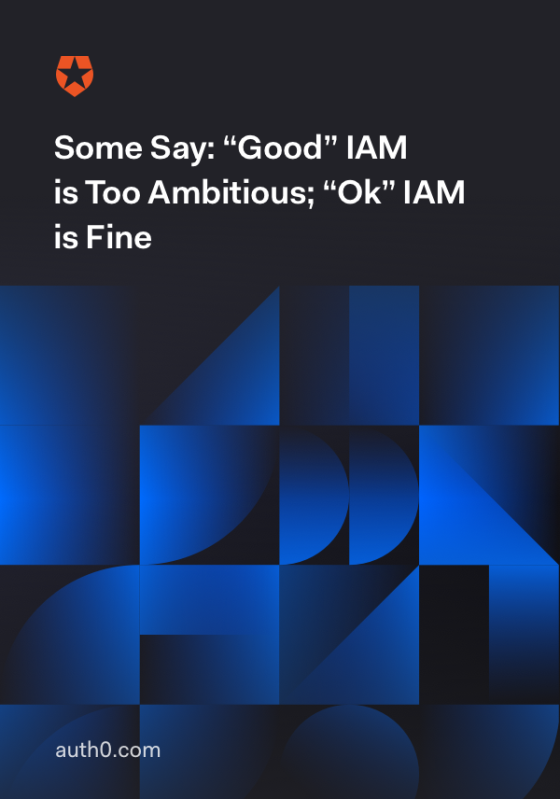 Some Say: Good IAM is too ambitious, OK IAM is fine