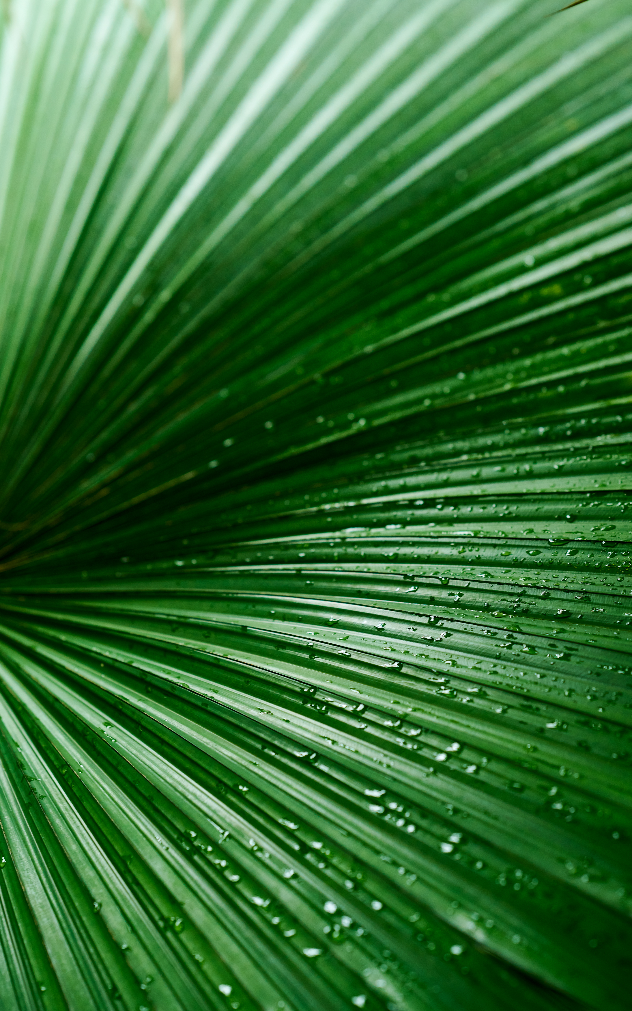 Tom Wolf Photografie