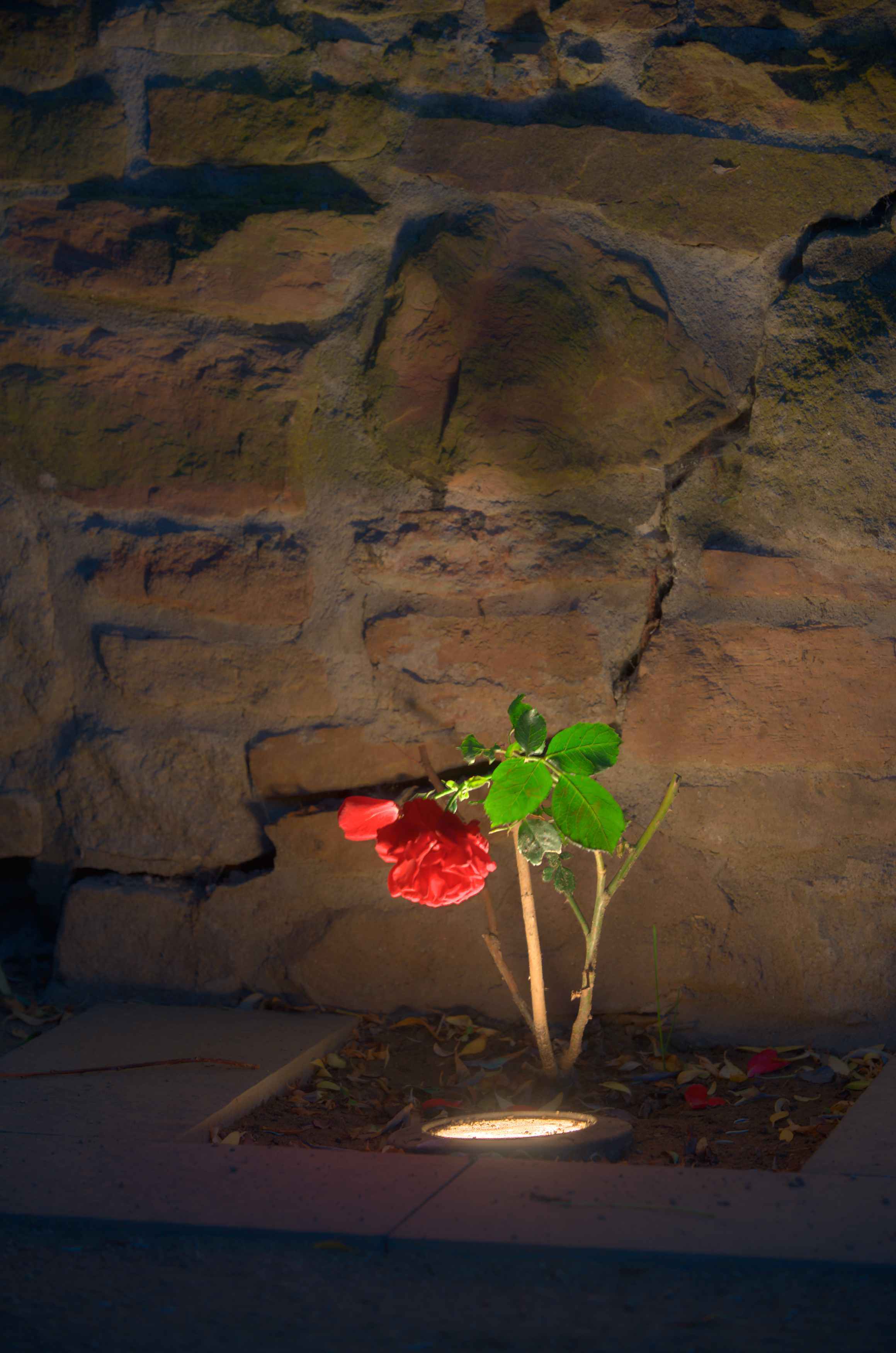 Tom Wolf Photografie