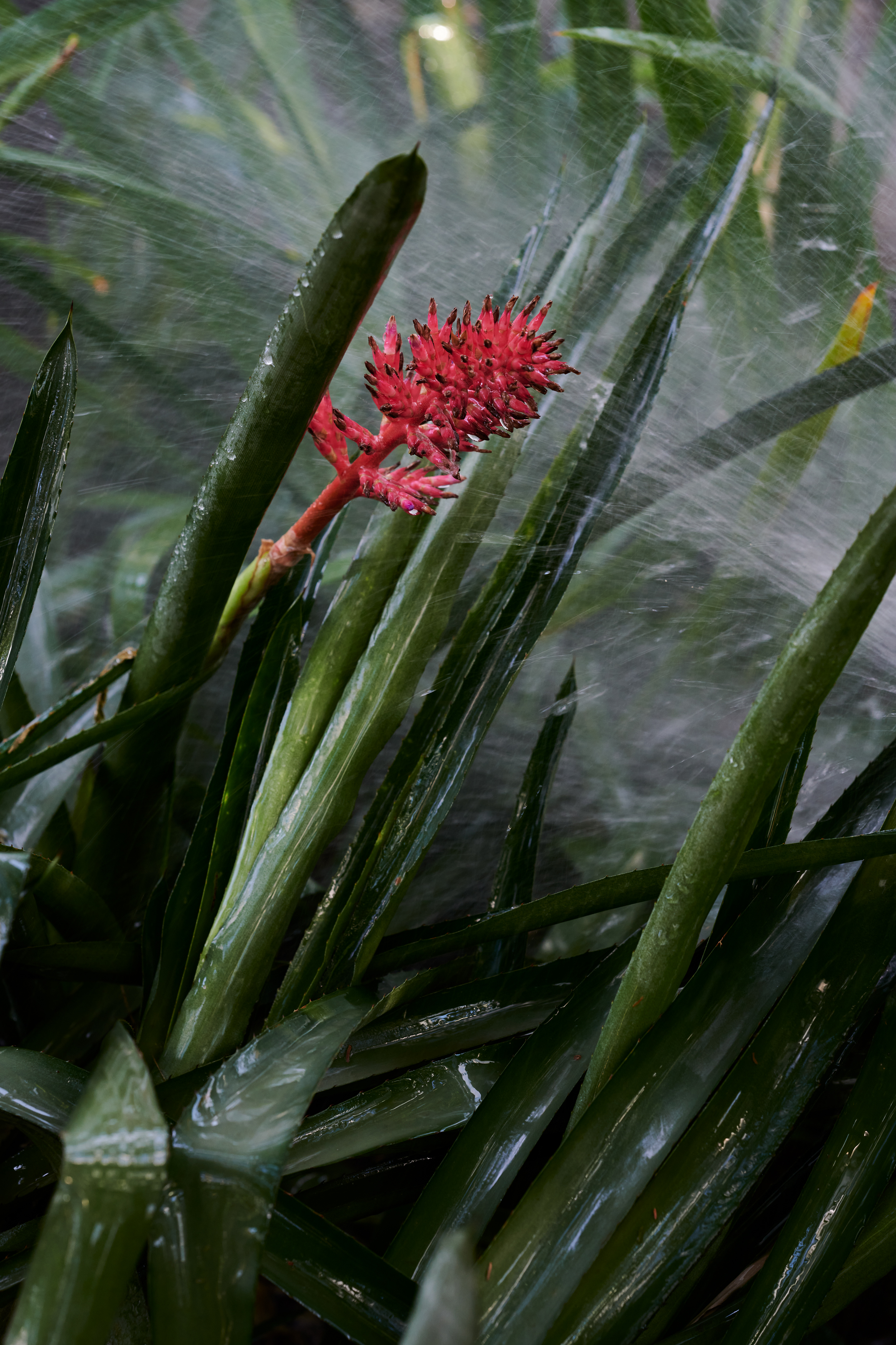 Tom Wolf Photografie