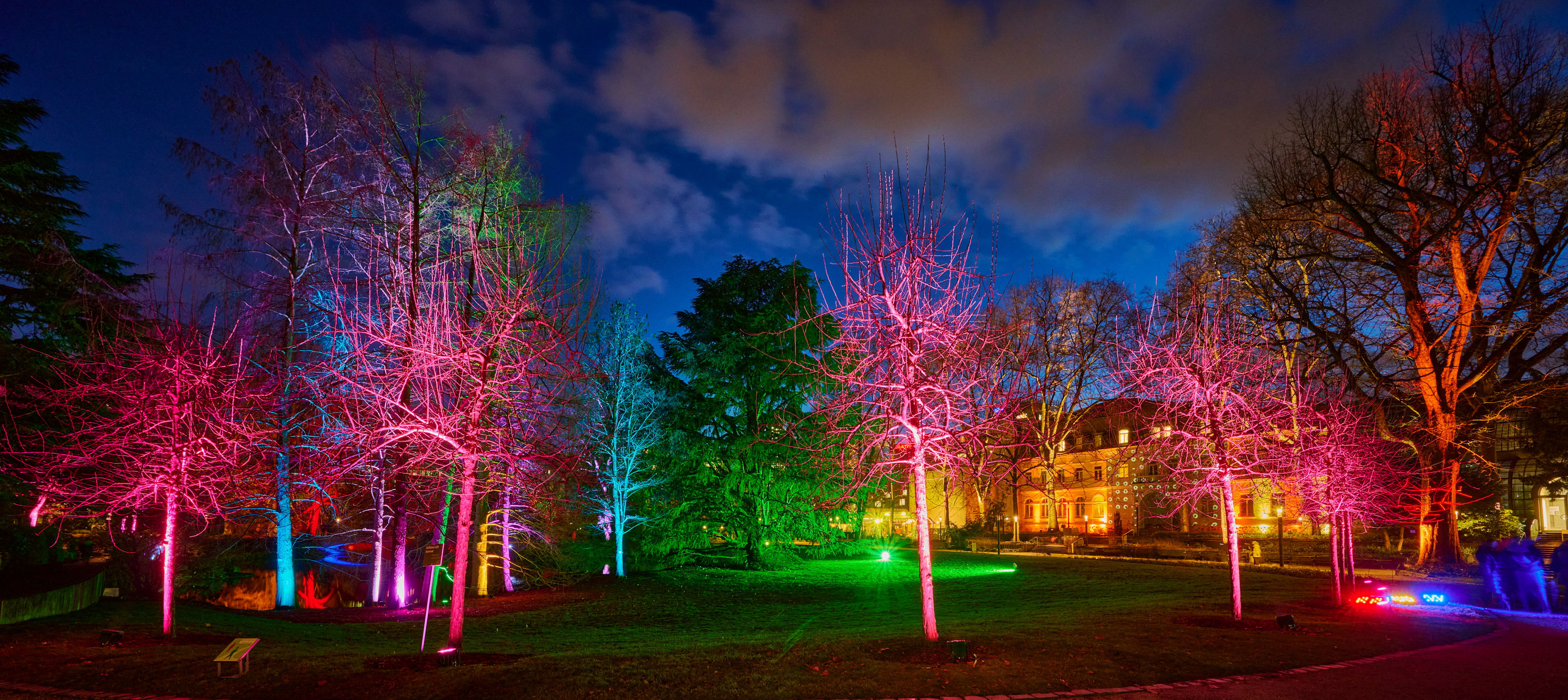 Tom Wolf Photografie