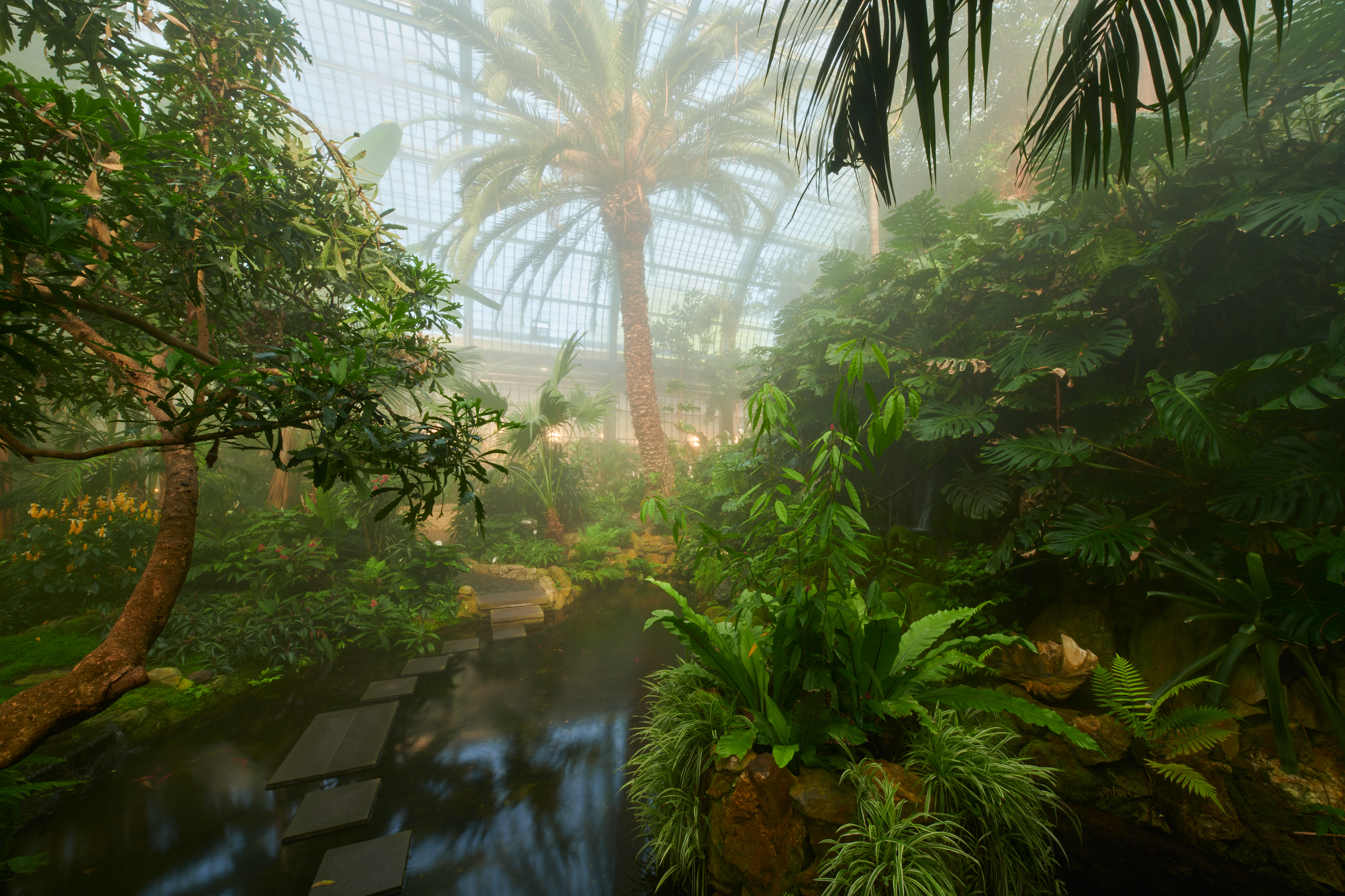 Tom Wolf Photografie