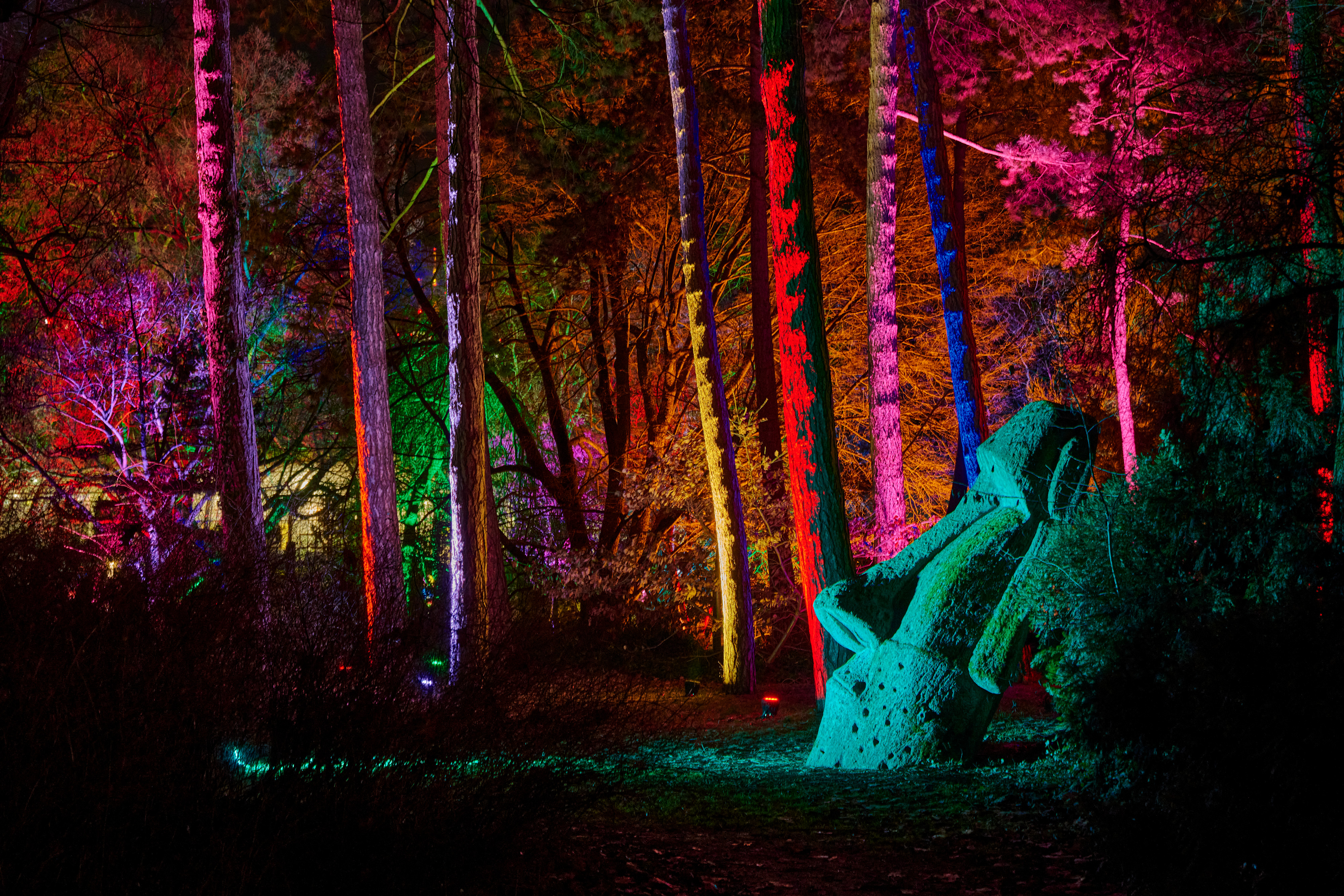 Tom Wolf Photografie