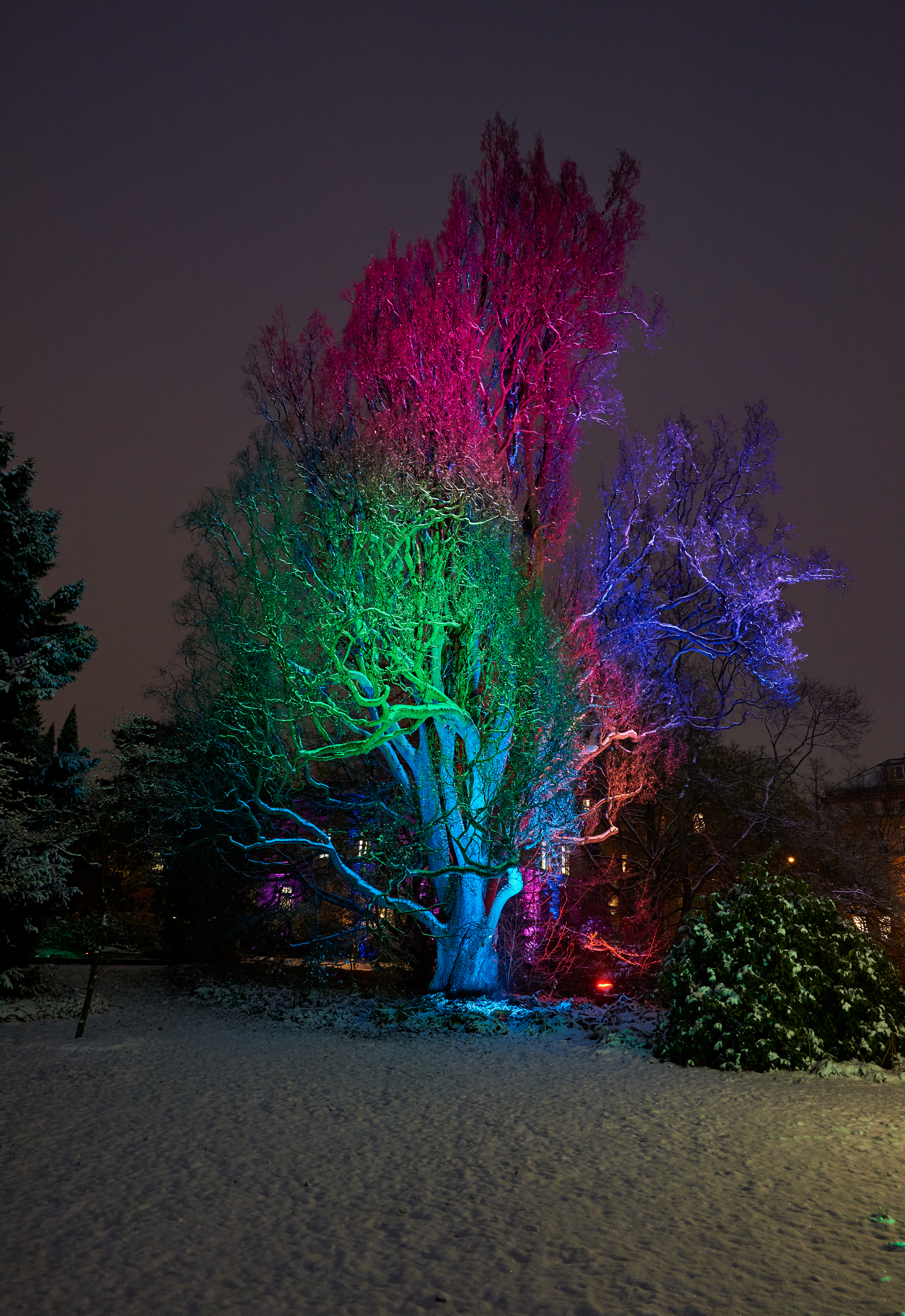 Tom Wolf Photografie