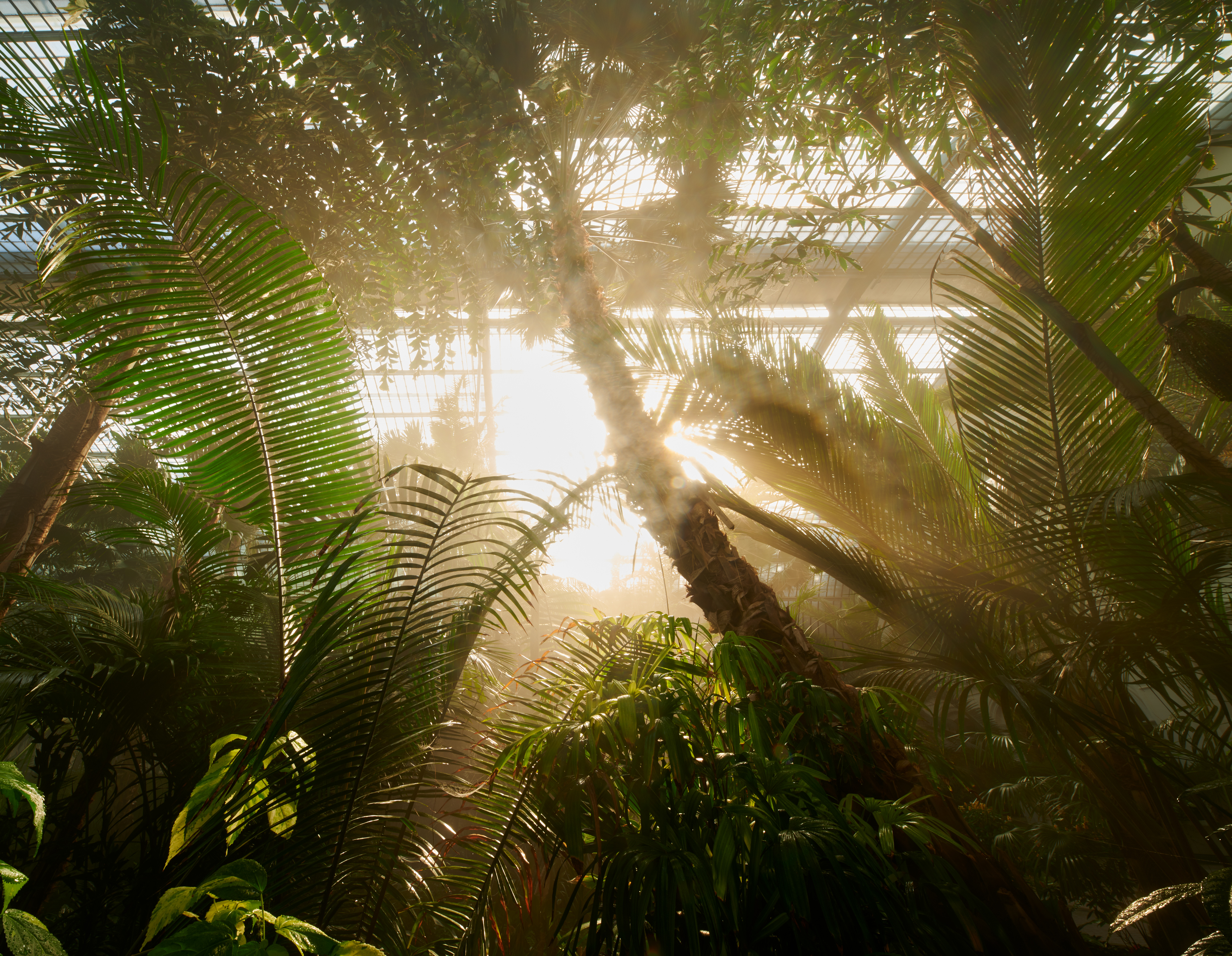 Tom Wolf Photografie