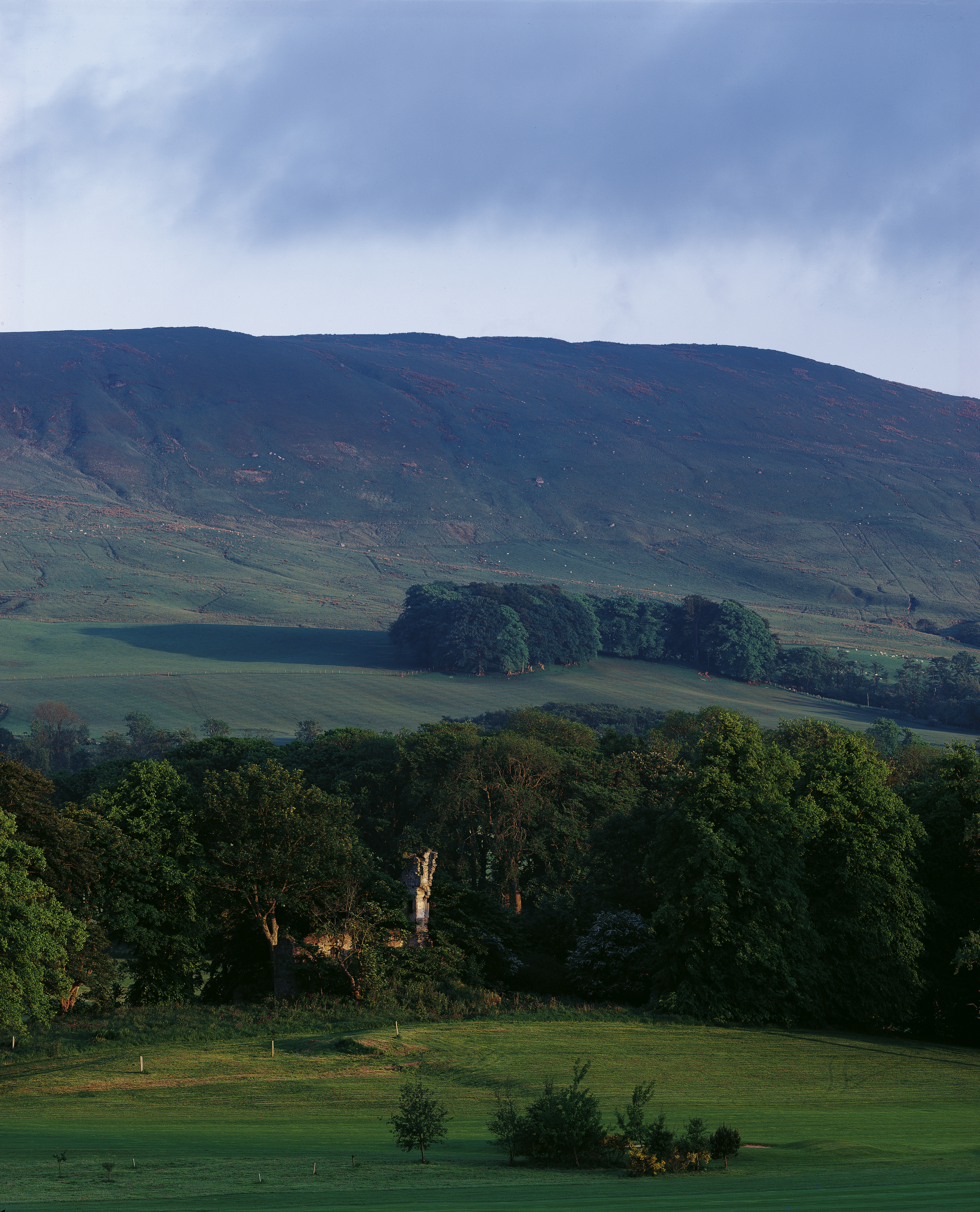 Tom Wolf Photografie