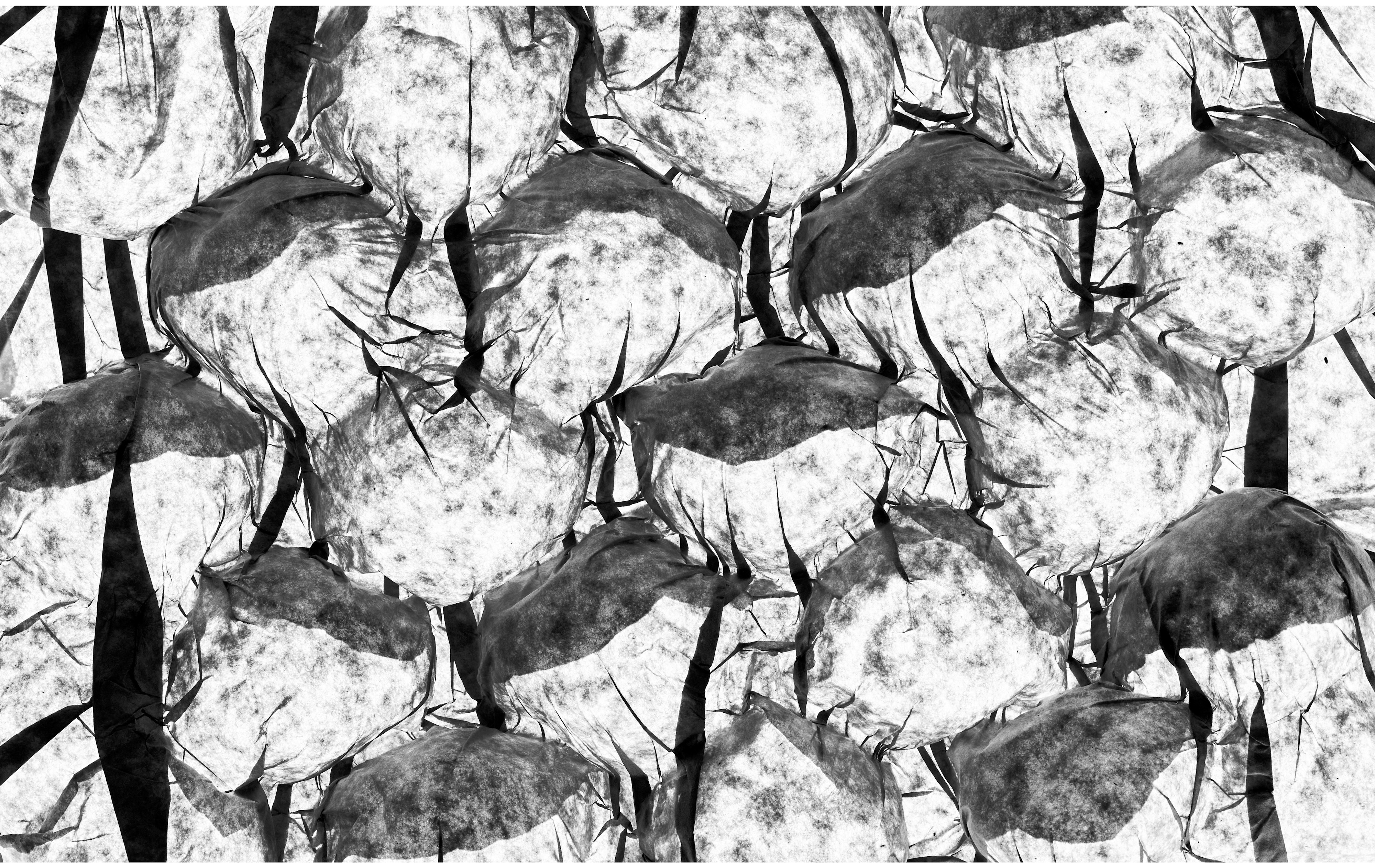 Tom Wolf Photografie