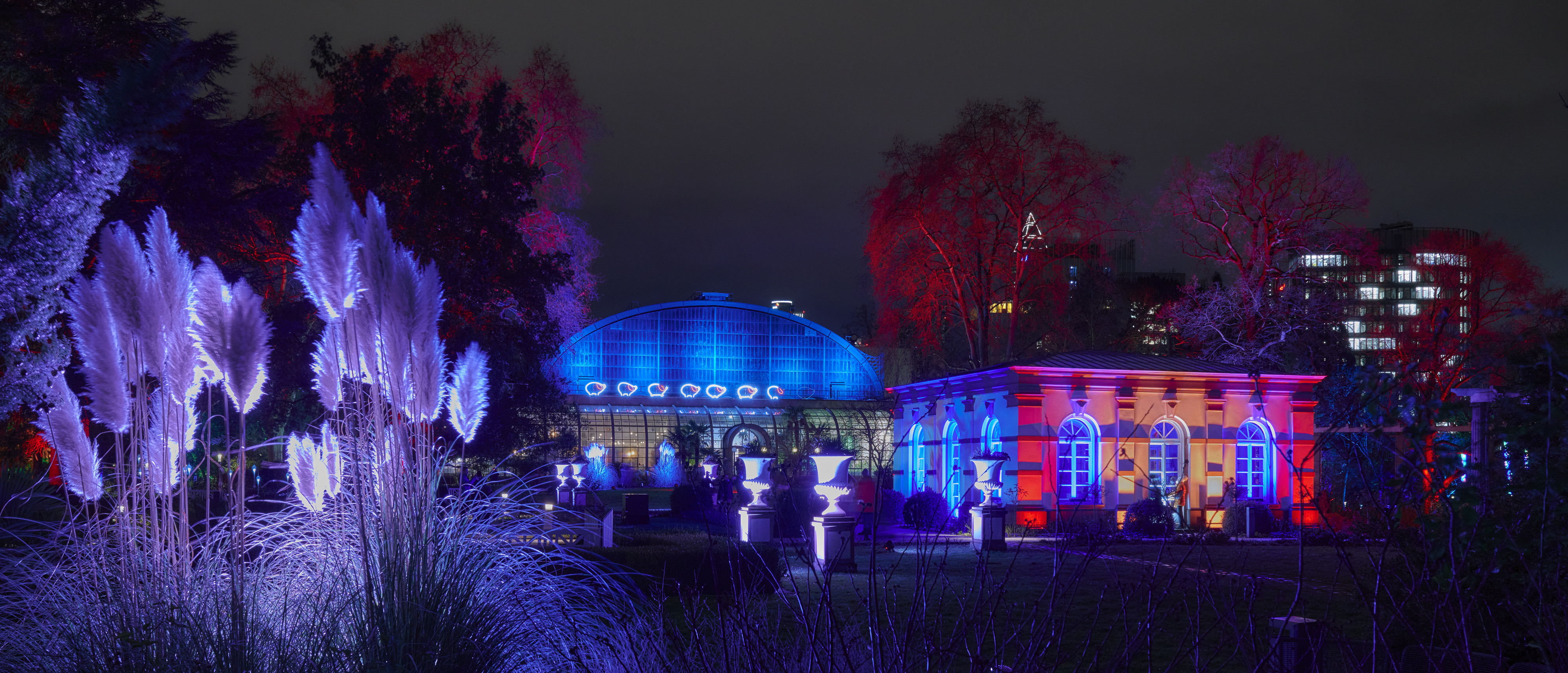 Tom Wolf Photografie