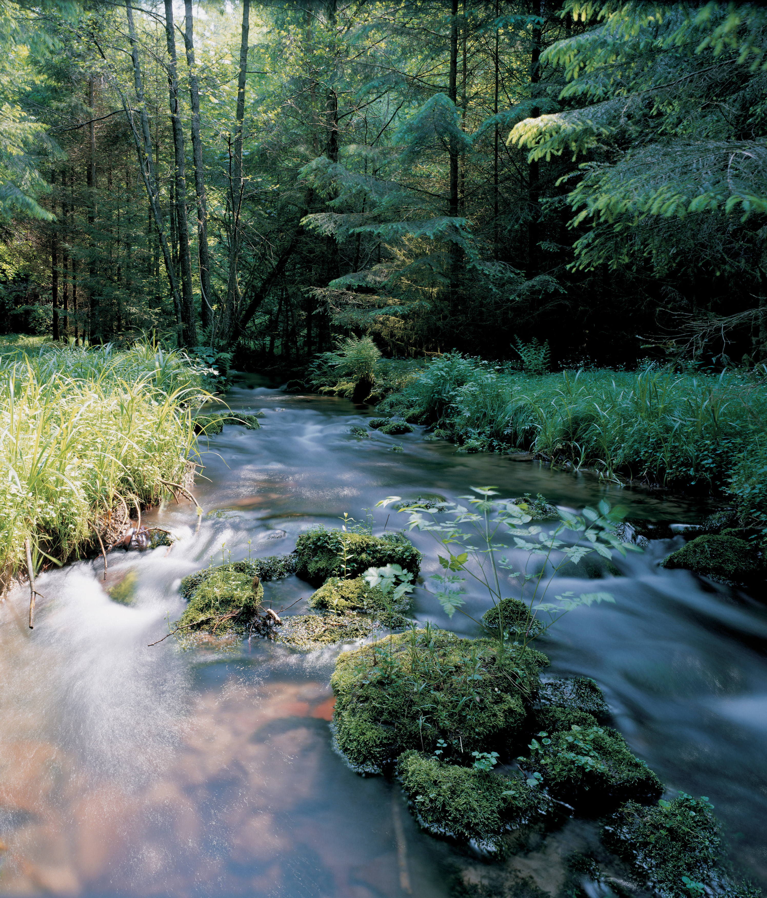 Tom Wolf Photografie