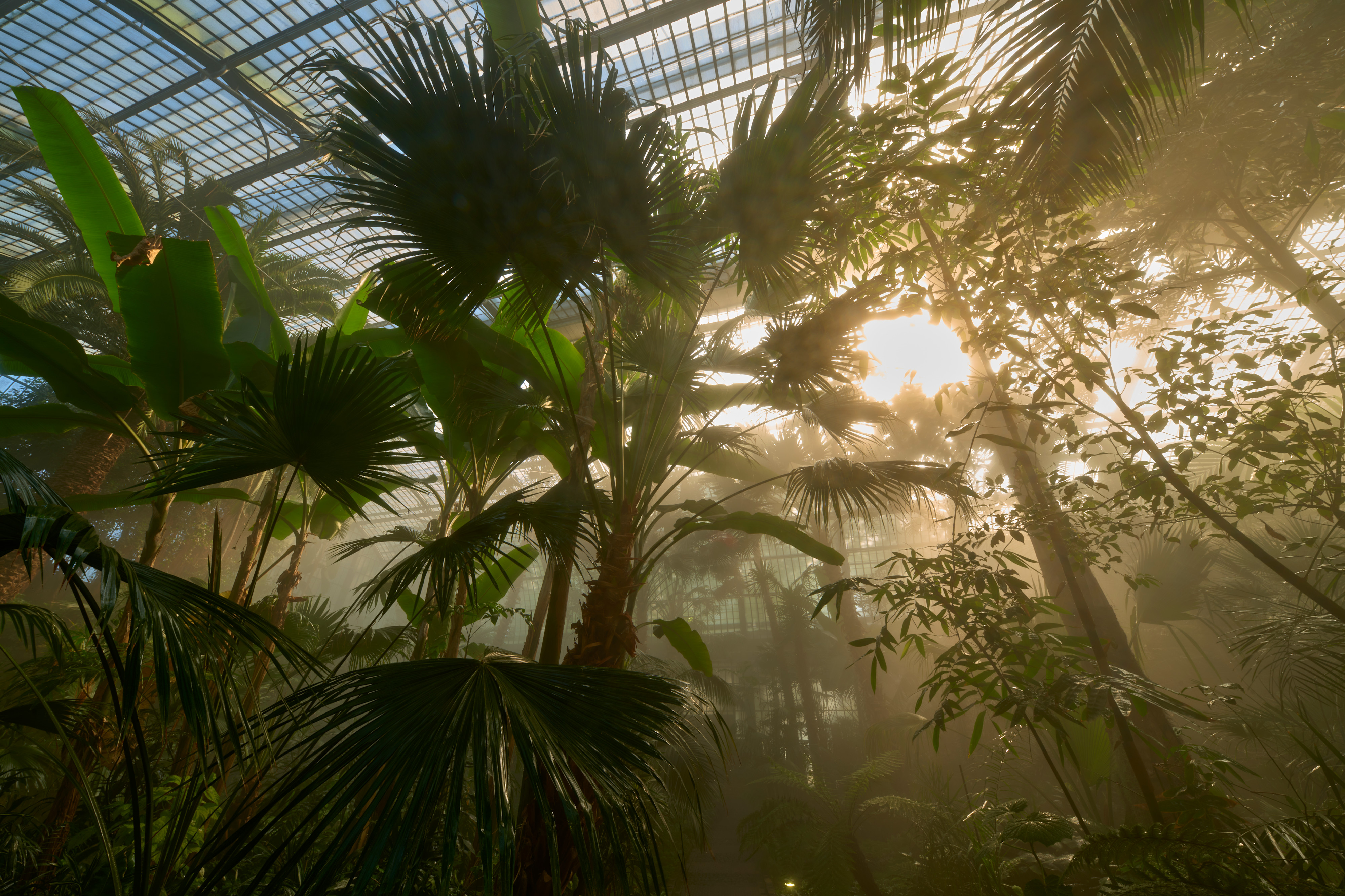 Tom Wolf Photografie