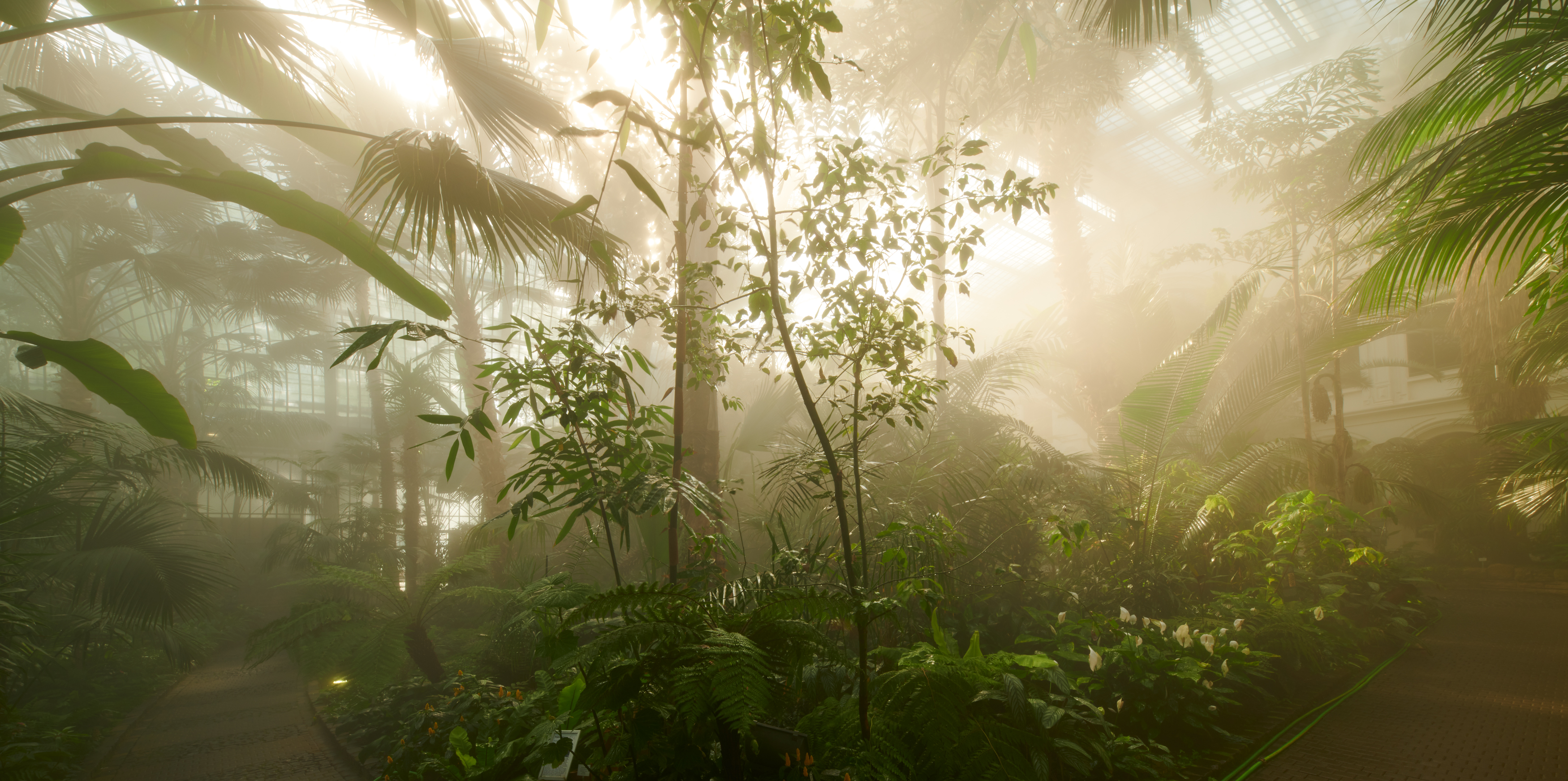 Tom Wolf Photografie