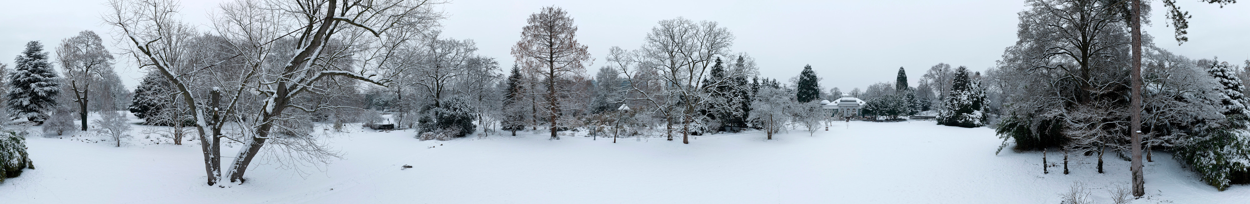 Tom Wolf Photografie