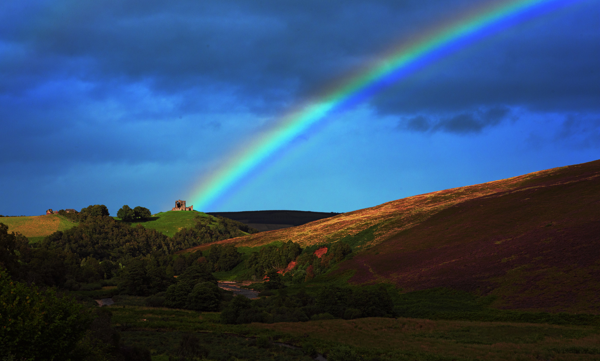 Tom Wolf Photografie