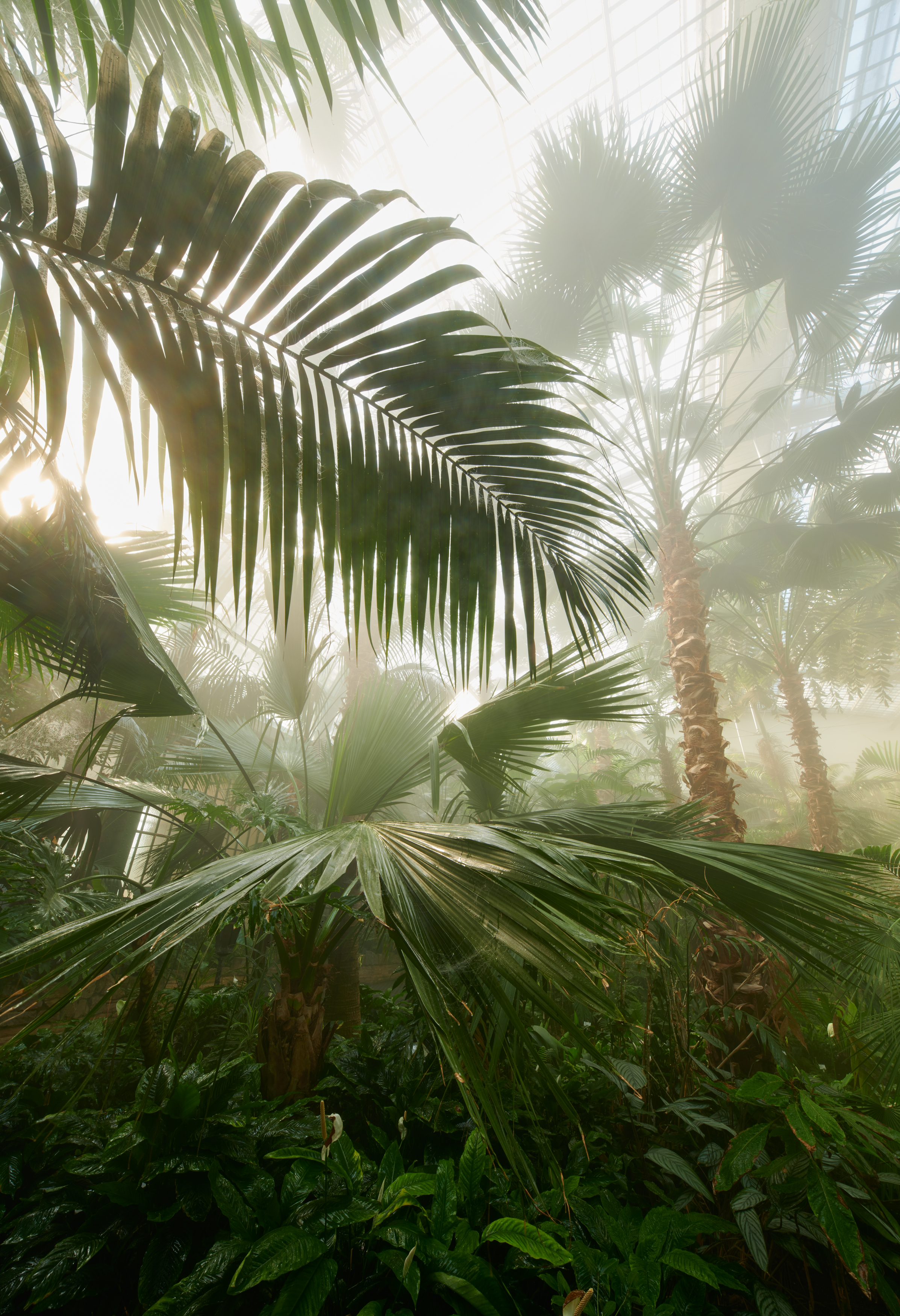 Tom Wolf Photografie