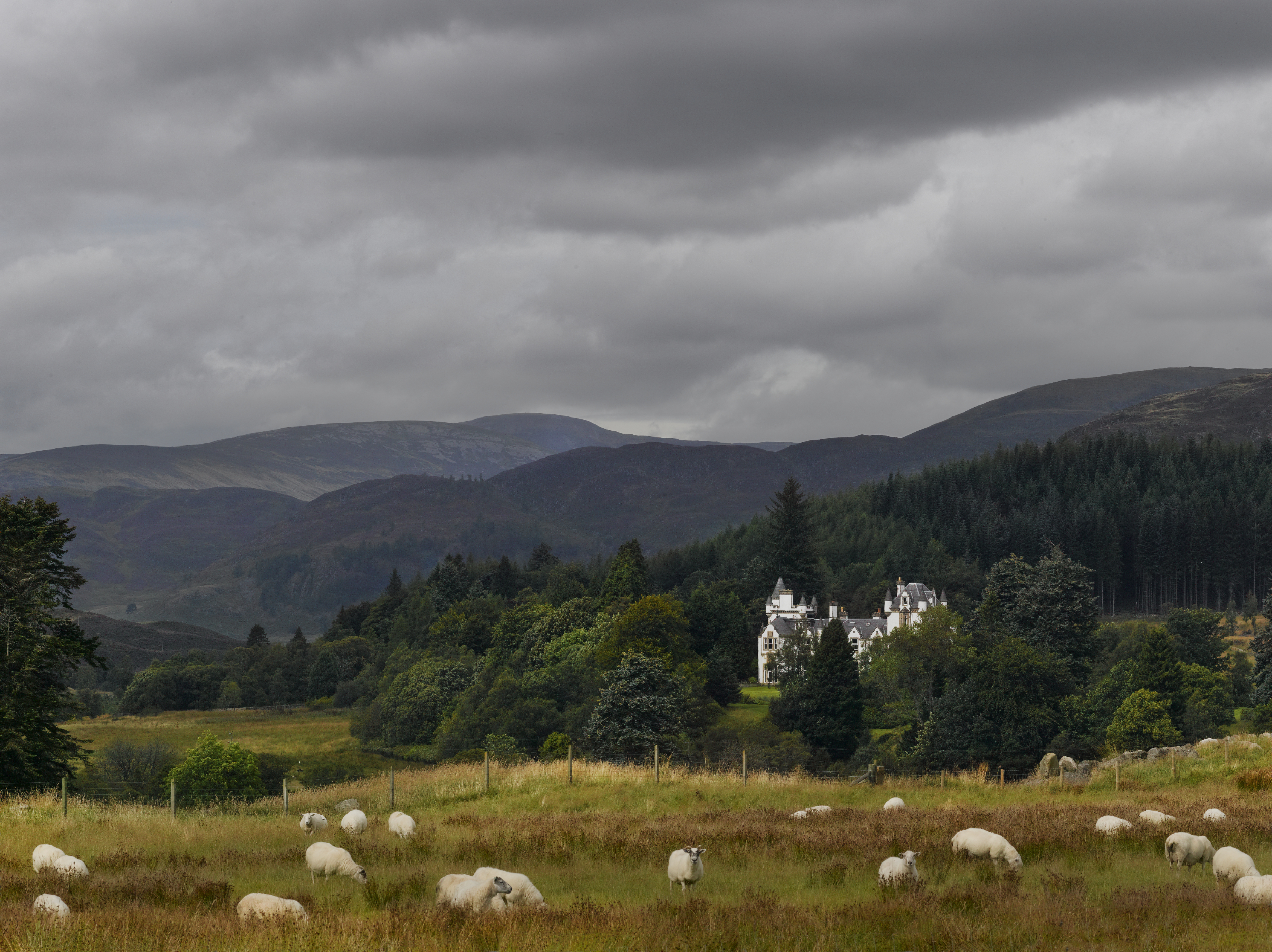 Tom Wolf Photografie