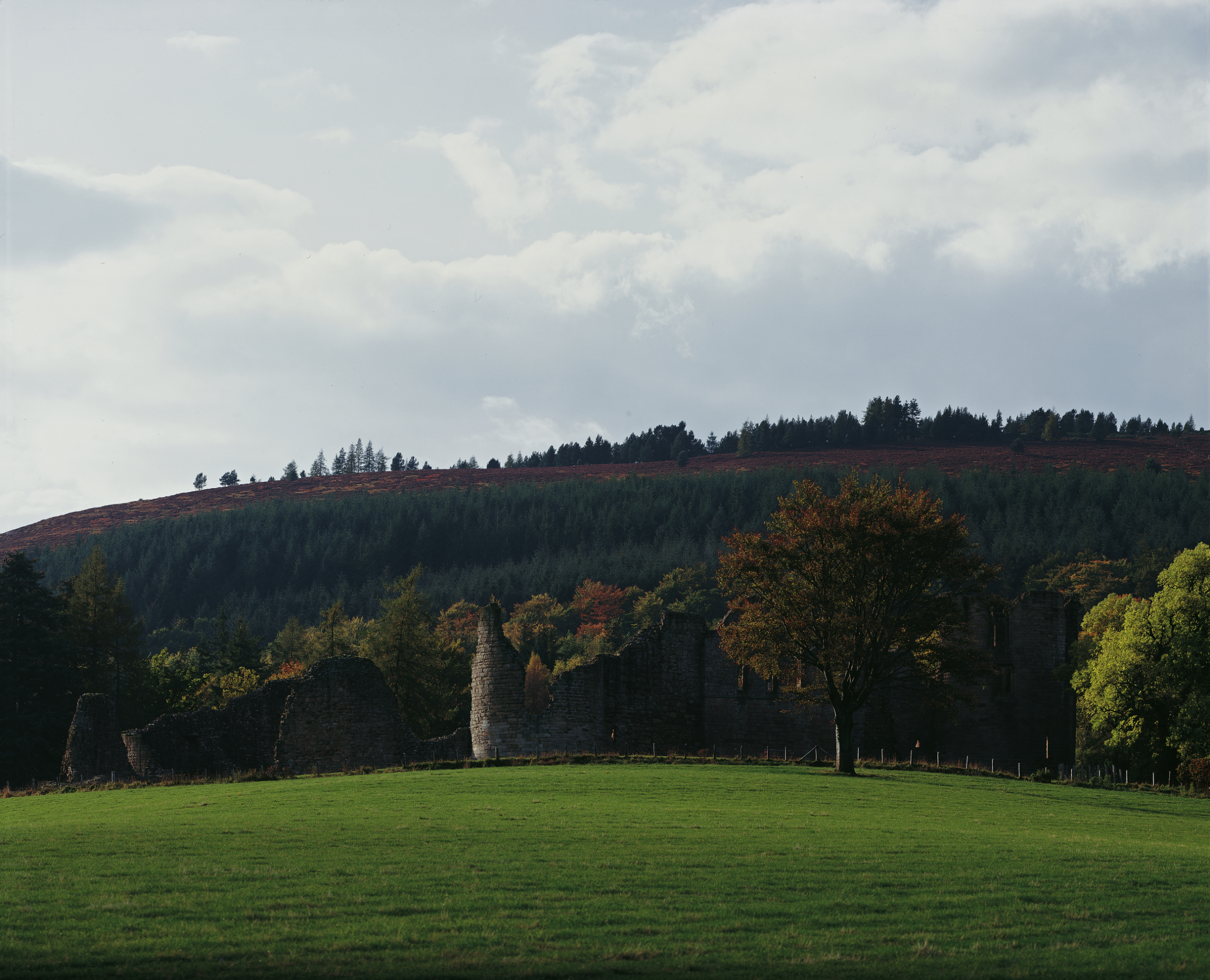 Tom Wolf Photografie