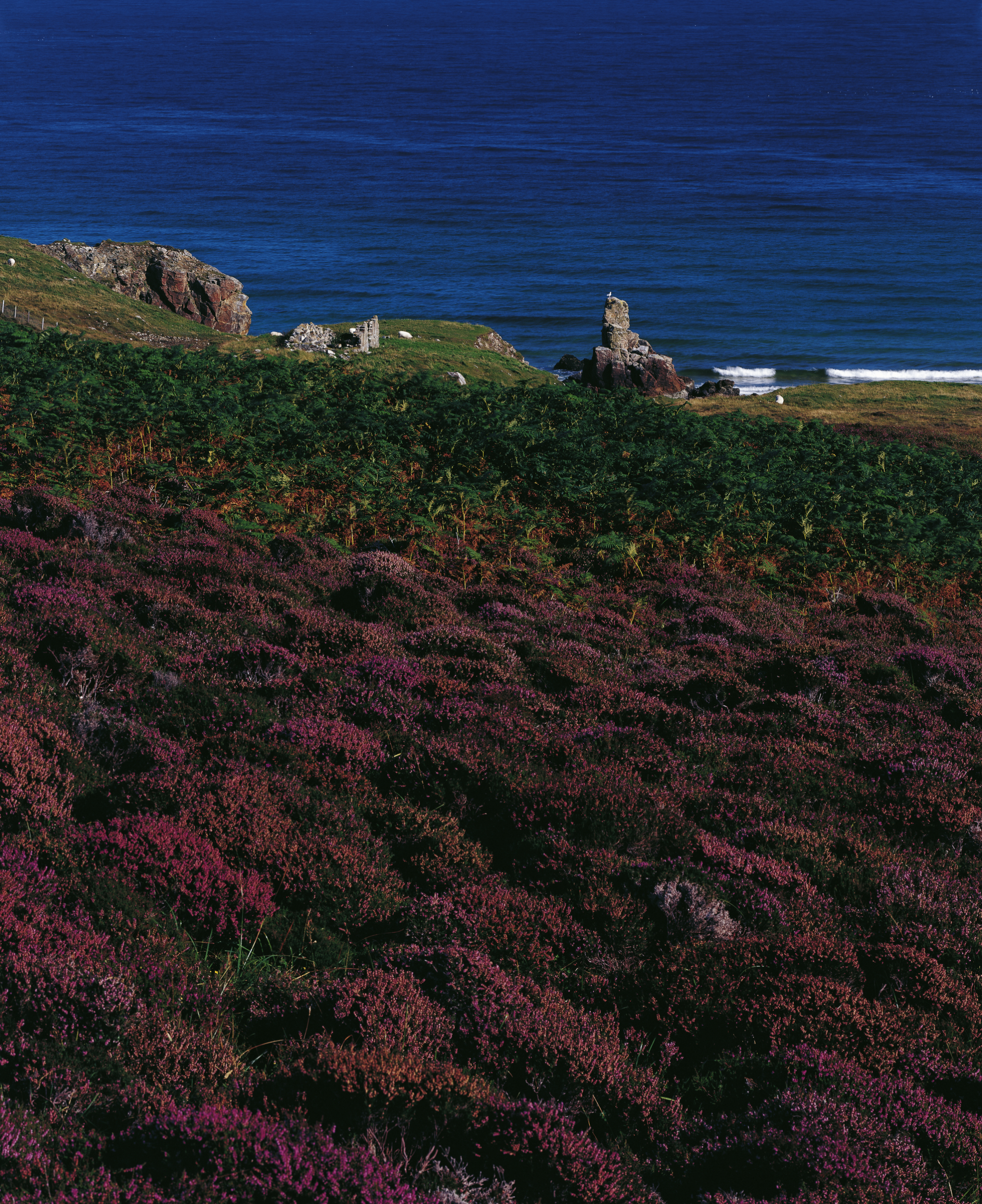 Tom Wolf Photografie