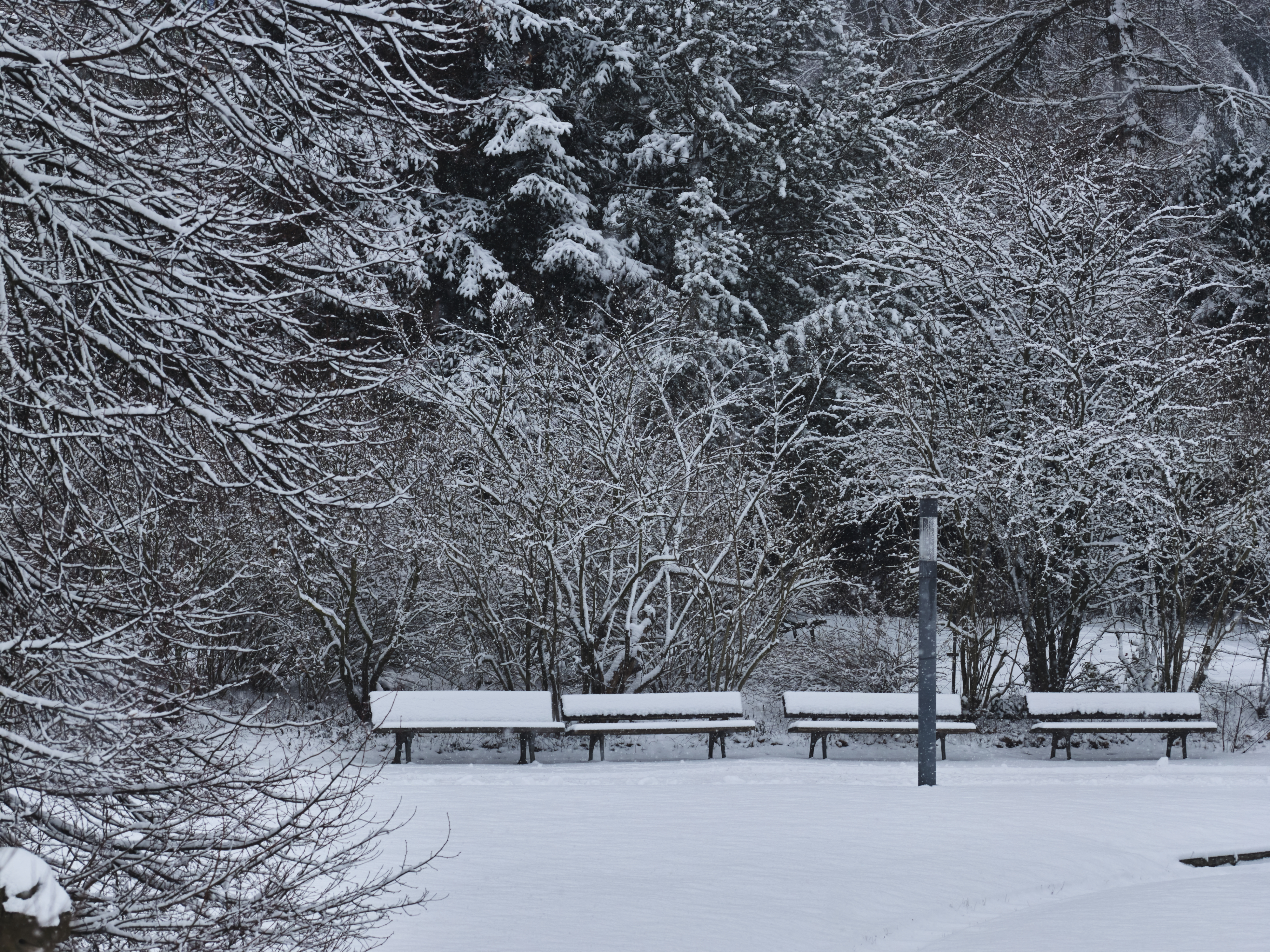 Tom Wolf Photografie