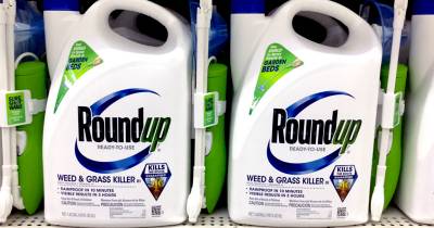 roundup mt