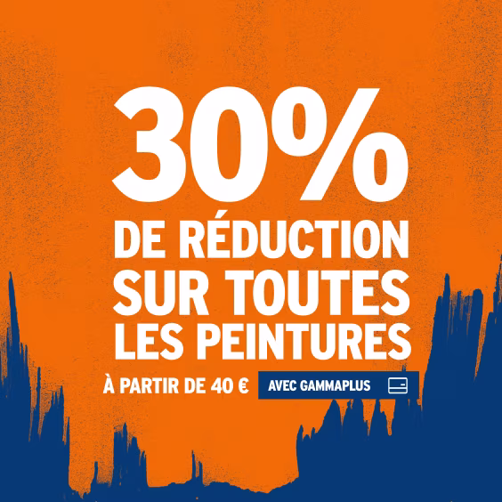 30% de réduction sur toutes les peintures
